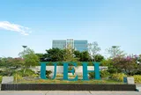 Đại học Kinh tế TP.HCM công bố về tuyển sinh năm học 2026