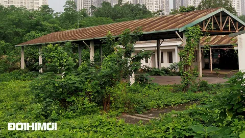 Khung cảnh hoang tàn của chợ đầu tư 20 tỷ nhưng xây xong lại bỏ hoang