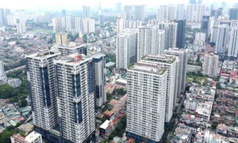 6 tháng đầu năm đầy khó khăn, đâu là giải pháp giúp thị trường đi lên?