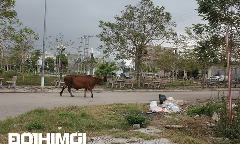 Nhếch nhác những khu đô thị điểm nhấn ở Bắc Giang sau phân lô bán nền