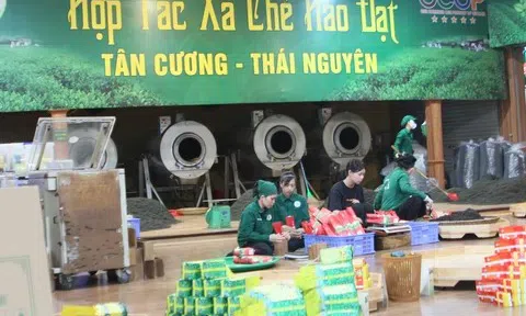 OCOP: Thổi bừng ngọn lửa truyền thống ở nông thôn Việt Nam