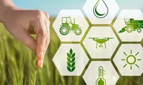 Truy xuất nguồn gốc nông sản: Không chỉ là công nghệ, mà còn là đạo đức