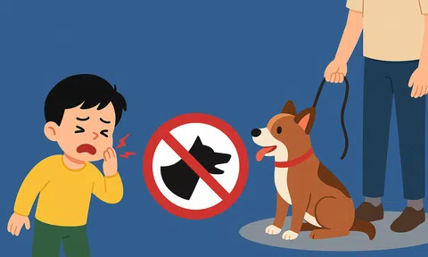 Quy định mới về nuôi chó, mèo và trách nhiệm khi cắn người