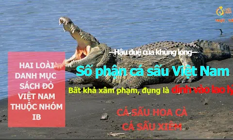 109 động vật nhóm IB, Sách đỏ Việt Nam-“đụng là dính lao lý”- Bài 1: Cá sấu trước nguy cơ tận diệt!