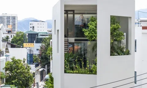 Nhà phố "rừng nhiệt đới": Tận hưởng không gian xanh mát, thanh lọc không khí tại Nha Trang