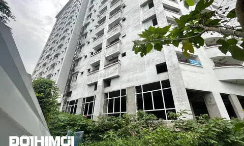 Hà Nội: Nằm ở vị trí đắc địa nhưng hàng trăm căn hộ tái định cư vẫn bị bỏ hoang cả chục năm