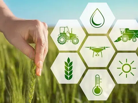 Truy xuất nguồn gốc nông sản: Không chỉ là công nghệ, mà còn là đạo đức