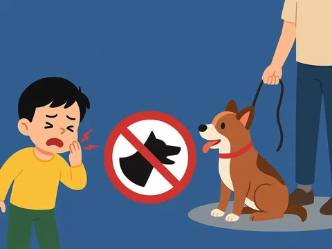 Quy định mới về nuôi chó, mèo và trách nhiệm khi cắn người