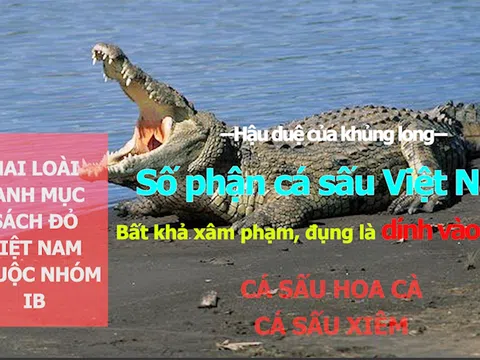 109 động vật nhóm IB, Sách đỏ Việt Nam-“đụng là dính lao lý”- Bài 1: Cá sấu trước nguy cơ tận diệt!