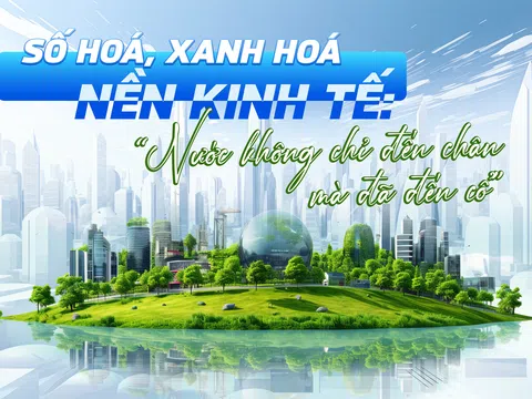 Số hoá, xanh hoá nền kinh tế: “Nước không chỉ đến chân, mà đã đến cổ”