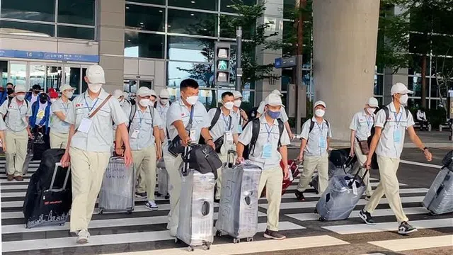 Cảnh báo lừa đảo xuất khẩu lao động qua Australia