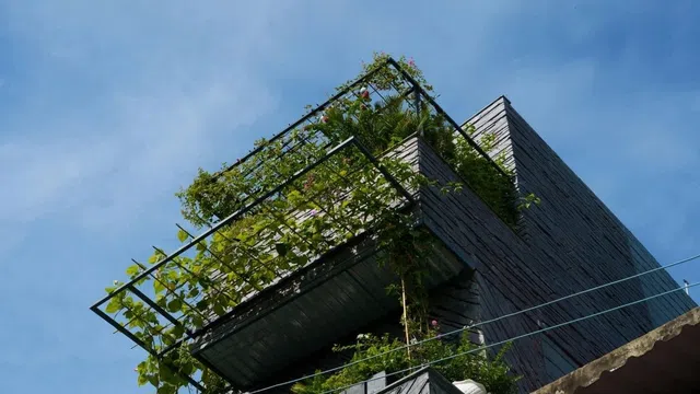 Thiết kế của ngôi nhà dành cho gia đình ba thế hệ lấy ý tưởng từ vách đá thác Pongou