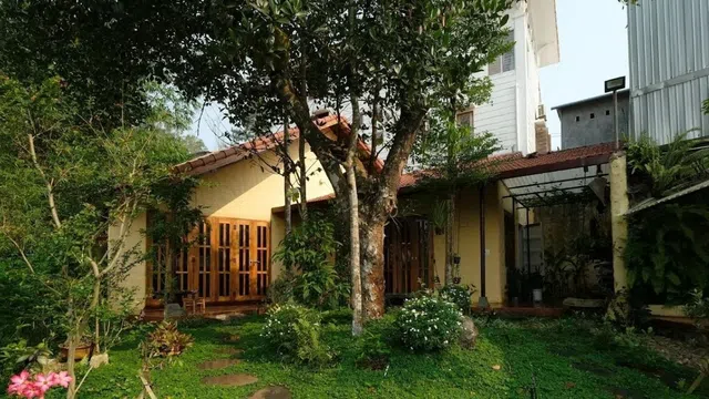 Nhà Tịnh - Nơi tận hưởng bình yên trong không gian kiến trúc tinh tế