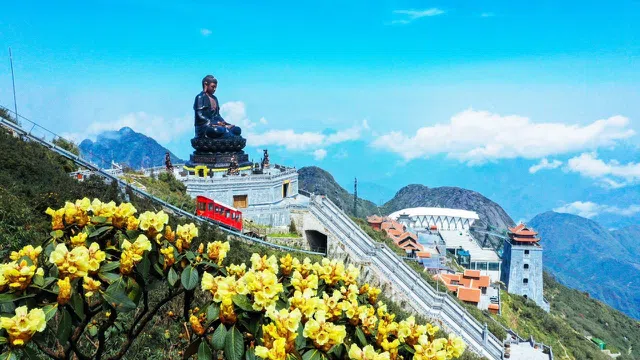 Đến Fansipan ngắm hoa đỗ quyên đẹp tựa tiên cảnh