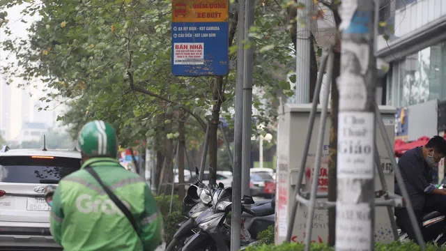 Cột điện Hà Nội lại tái diễn tình trạng bị dán chi chít quảng cáo