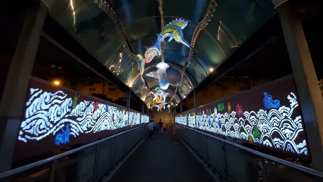 Tour đi bộ tại “thuỷ cung trên cạn” độc đáo tại Hà Nội